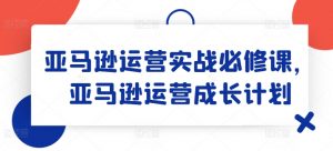 亚马逊运营实战必修课,亚马逊运营成长计划-大齐资源站