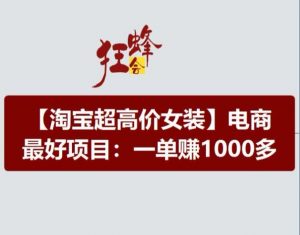 淘宝超高价女装项目,电商最好赛道,一单赚1000多-大齐资源站