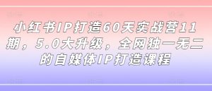 小红书IP打造60天实战营11期，5.0大升级，全网独一无二的自媒体IP打造课程-大齐资源站