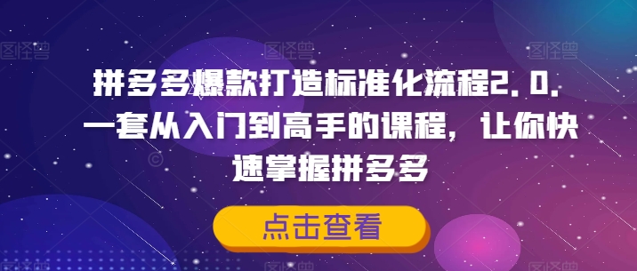 拼多多爆款打造标准化流程2.0，一套从入门到高手的课程，让你快速掌握拼多多-大齐资源站