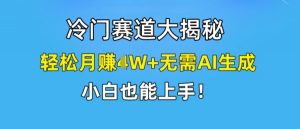 冷门赛道大揭秘,轻松月赚1W+无需AI生成,小白也能上手【揭秘】-大齐资源站