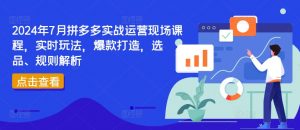 2024年7月拼多多实战运营现场课程,实时玩法,爆款打造,选品、规则解析-大齐资源站