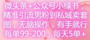 微头条+公众号小绿书，精准引流男粉到私域卖套图，无脑操作，有手就行，每单99-200，每天5单-大齐资源站