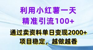 利用小红书一天精准引流100+,通过卖项目单日变现2k+,项目稳定,越做越香【揭秘】-大齐资源站