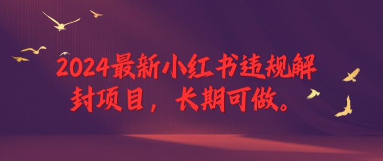 2024最新小红书违规解封项目，长期可做，一个可以做到退休的项目【揭秘】-大齐资源站
