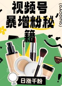视频号涨粉方法，暴力起号，一天涨粉1000+，当天开橱窗【揭秘】-大齐资源站