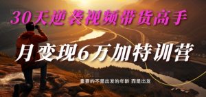 30天逆袭视频带货高手,单月变现6万加特训营-麦子甜-大齐资源站