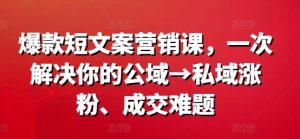 爆款短文案营销课,一次解决你的公域→私域涨粉、成交难题-大齐资源站