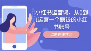 小红书运营课,从0到1运营一个赚钱的小红书账号-大齐资源站