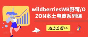wildberriesWB野莓/OZON本土电商系列课,掌握WB产品优化,出单技巧和订单处理等-大齐资源站