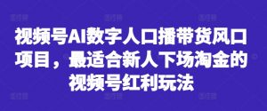 视频号AI数字人口播带货风口项目，最适合新人下场淘金的视频号红利玩法-大齐资源站