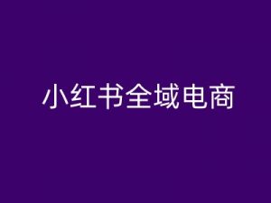 小红书全域电商,小红书电商教程-大齐资源站