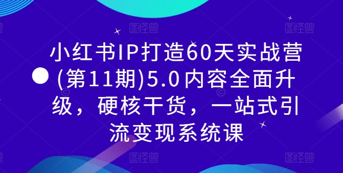 小红书IP打造60天实战营(第11期)5.0​内容全面升级，硬核干货，一站式引流变现系统课-大齐资源站