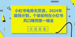 小红书电商无货源，2024年搞钱计划，个体如何在小红书风口赚到第一桶金-大齐资源站