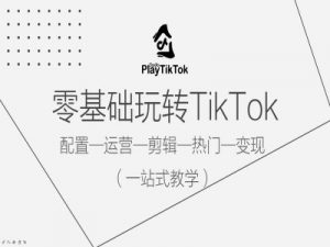 零基础玩转TikTok,配置一运营一剪辑一热门一变现,一站式教学-大齐资源站