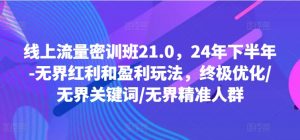 线上流量密训班21.0,24年下半年-无界红利和盈利玩法,终极优化/无界关键词/无界精准人群-大齐资源站