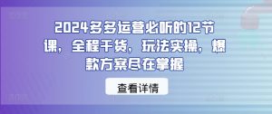 2024多多运营必听的12节课,全程干货,玩法实操,爆款方案尽在掌握-大齐资源站