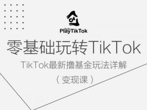 零基础玩转TiKToK变现课，TikTok最新撸基金玩法详解-大齐资源站