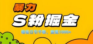 单人单机日引千粉，变现1k+，S粉流量掘金计划攻略【揭秘】-大齐资源站