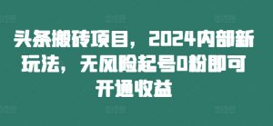 头条搬砖项目,2024内部新玩法,无风险起号0粉即可开通收益-大齐资源站
