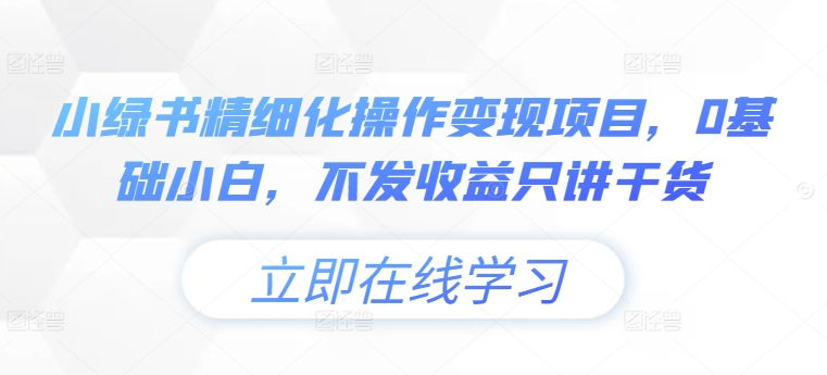 小绿书精细化操作变现项目，0基础小白，不发收益只讲干货-大齐资源站