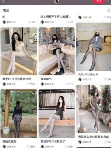 AI打造网红账号,一周收入超5位数,还能矩阵操做-大齐资源站