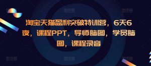 淘宝天猫盈利突破特训营，6天6夜，课程PPT，导师脑图，学员脑图，课程录音-大齐资源站