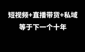 短视频+直播带货+私域等于下一个十年，大佬7年实战经验总结-大齐资源站