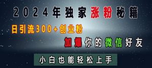 2024年独家涨粉秘籍,日引流300+创业粉,加爆你的微信好友,小白也能轻松上手-大齐资源站