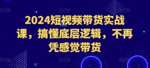 2024短视频带货实战课，搞懂底层逻辑，不再凭感觉带货-大齐资源站