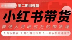 小Red书带货42天训练营 2.0版,宝妈+自由职+上班族+大学生,提高副业收入的大红利项目-大齐资源站