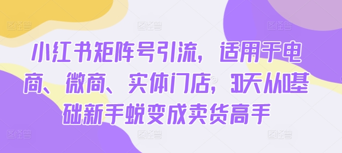 小红书矩阵号引流，适用于电商、微商、实体门店，30天从0基础新手蜕变成卖货高手-大齐资源站