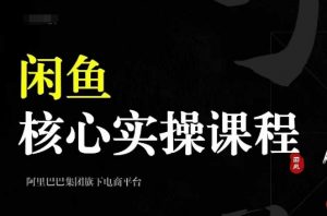 2024闲鱼核心实操课程，从养号、选品、发布、销售，教你做一个出单的闲鱼号-大齐资源站