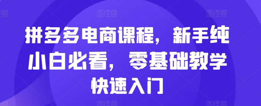 拼多多电商课程，新手纯小白必看，零基础教学快速入门-大齐资源站