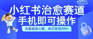 小红书治愈视频赛道，手机即可操作，流量超级火爆，单日变现300+【揭秘】-大齐资源站