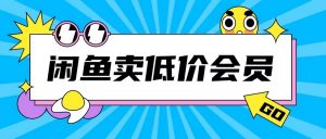 外面收费998的闲鱼低价充值会员搬砖玩法号称日入200+-大齐资源站