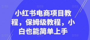 小红书电商项目教程,保姆级教程,小白也能简单上手-大齐资源站