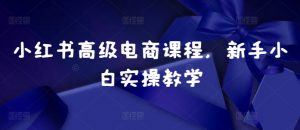 小红书高级电商课程,新手小白实操教学-大齐资源站