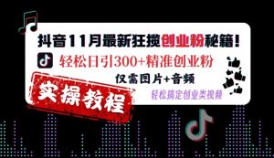 抖音11月最新狂揽创业粉秘籍，轻松日引300+精准创业粉，仅需图片+音频，轻松搞定创业类视频-大齐资源站