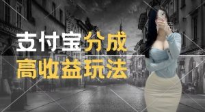 支付宝分成计划新玩法，利用交通事故视频，赚收益，轻松月入过W，操作简单【揭秘】-大齐资源站