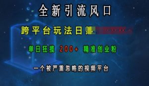 全新引流风口，跨平台玩法日入上k，单日狂揽200+精准创业粉，一个被严重忽略的视频平台-大齐资源站