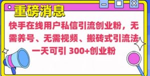 快手最新引流创业粉方法，无需养号、无需视频、搬砖式引流法【揭秘】-大齐资源站