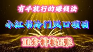 每天 10 分钟，小红书冷门风口项目开启，有手就行的搬运赚钱法，小白日入500 +【揭秘】-大齐资源站