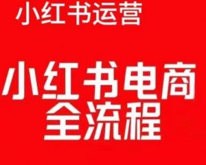 红薯电商实操课，小红书电商全流程-大齐资源站