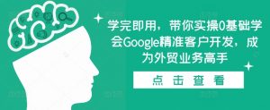 学完即用,带你实操0基础学会Google精准客户开发,成为外贸业务高手-大齐资源站