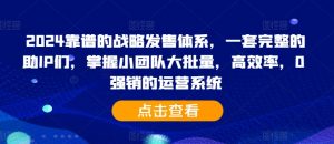 2024靠谱的战略发售体系，一套完整的助IP们，掌握小团队大批量，高效率，0 强销的运营系统-大齐资源站