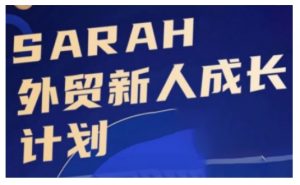 外贸新人成长计划，外贸新人学起来，偷偷让自己变强大-大齐资源站