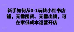 新手如何从0-1玩转小红书店铺,无需囤货、无需出镜,可在家低成本运营开店-大齐资源站
