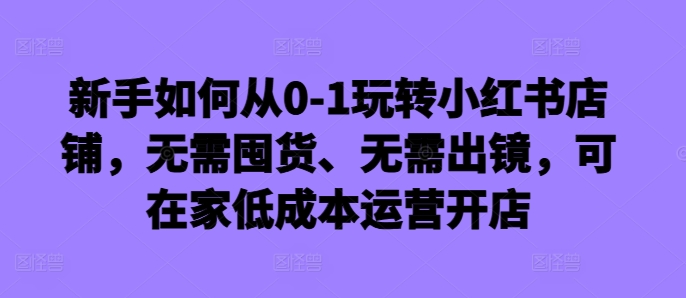 新手如何从0-1玩转小红书店铺，无需囤货、无需出镜，可在家低成本运营开店-大齐资源站