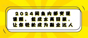 2024闲鱼内部变现课程,低成本高回报,让你轻松成为副业达人-大齐资源站